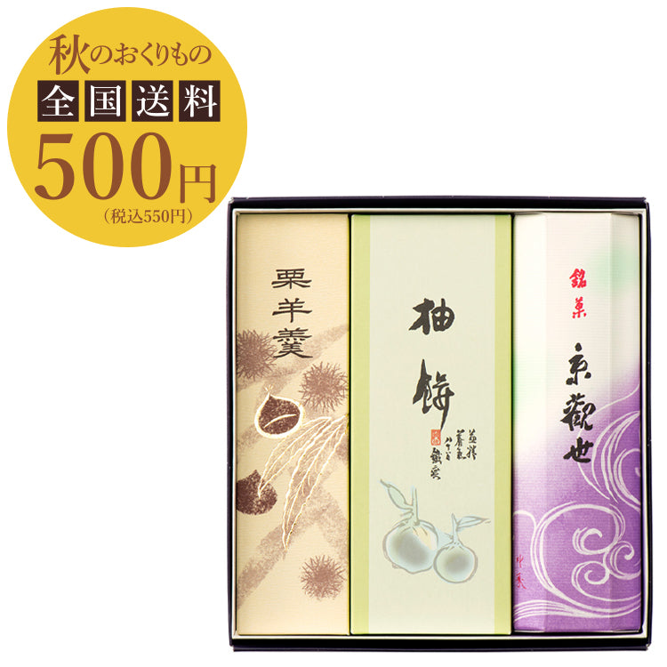 【送料 500円】名菓撰　栗羊羹 D