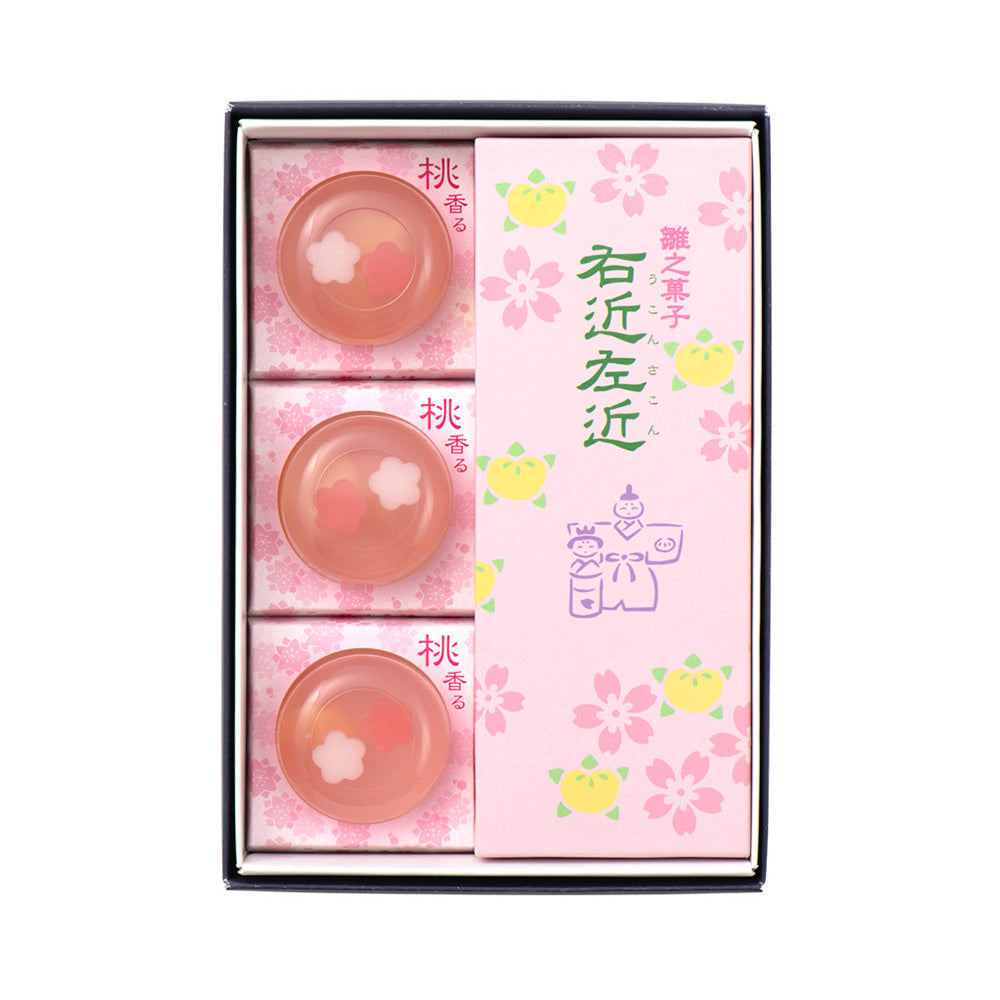 KOYO 27cmピンク 5枚セット 季節の詰合せ】雛まつりにおすすめ「右近左近・桃香る 詰合せ」｜鶴屋